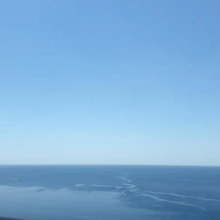 センダー